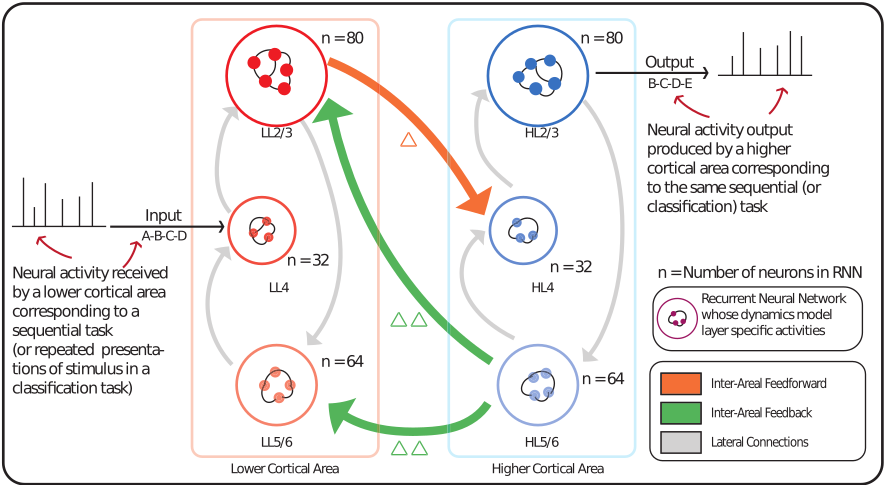 CorticalRNN architecture